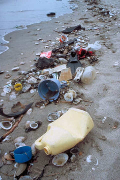 https://www.marinedefenders.org/uploads/1/1/8/3/118305227/published/028-marine-debris-2ocean-conservancy-5.jpg?1523381075=